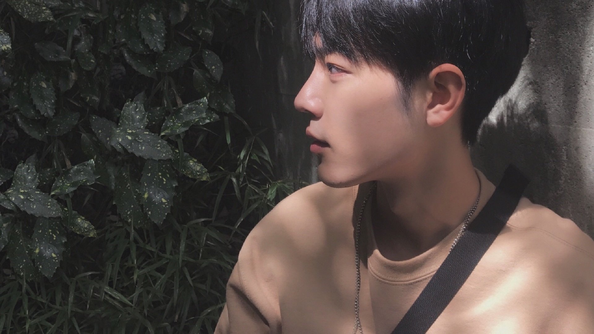 乐鱼体育平台官网-努力让梦想必达，李雯雯的奥运成长之路，李雯雯奥运比赛时间