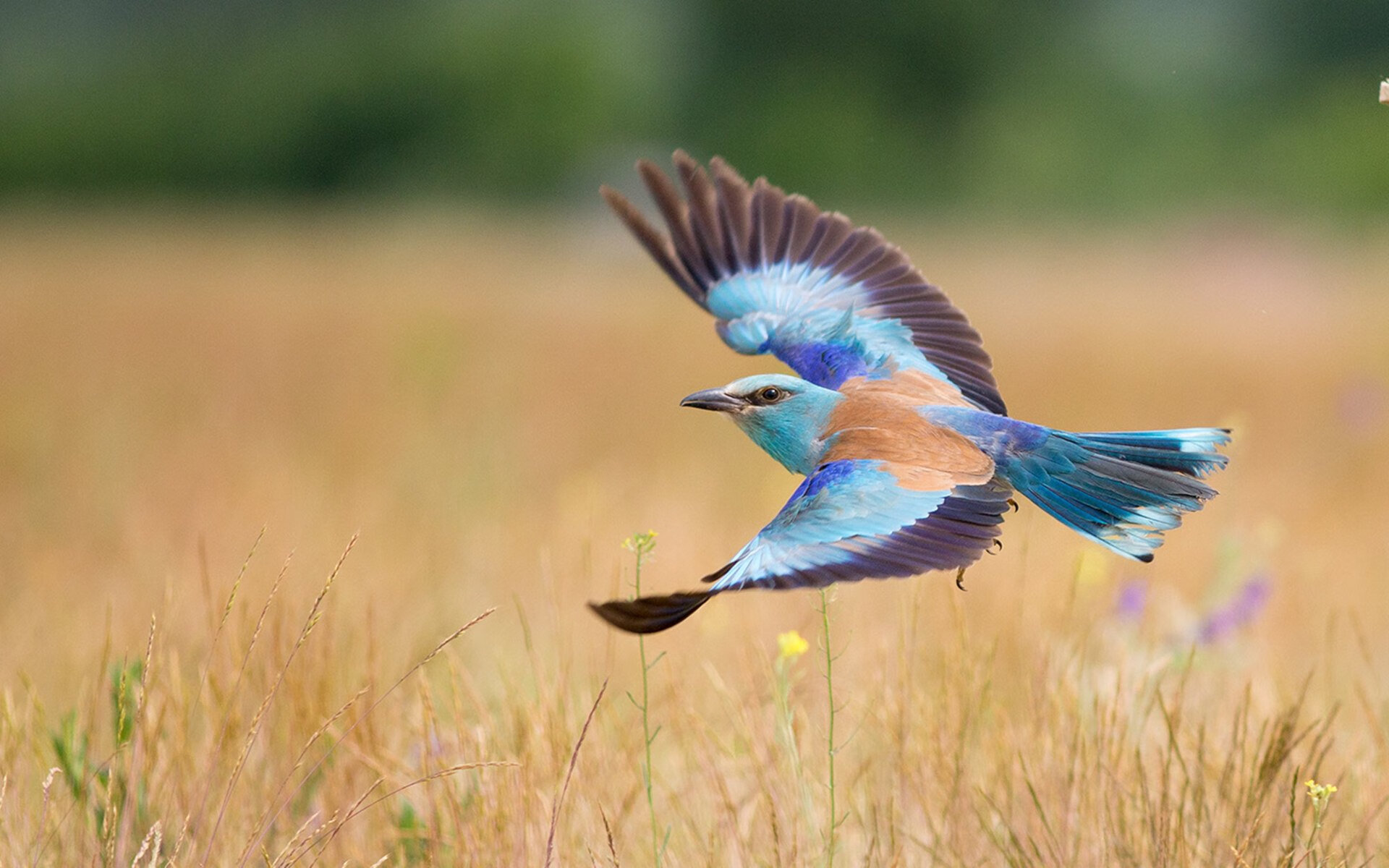 乐鱼app-友赛中感受运动精神：友谊第一，比赛第二，进行友谊赛