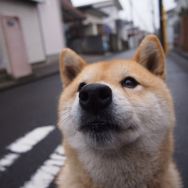 友赛中感受运动精神:友谊第一,比赛第二,进行友谊赛